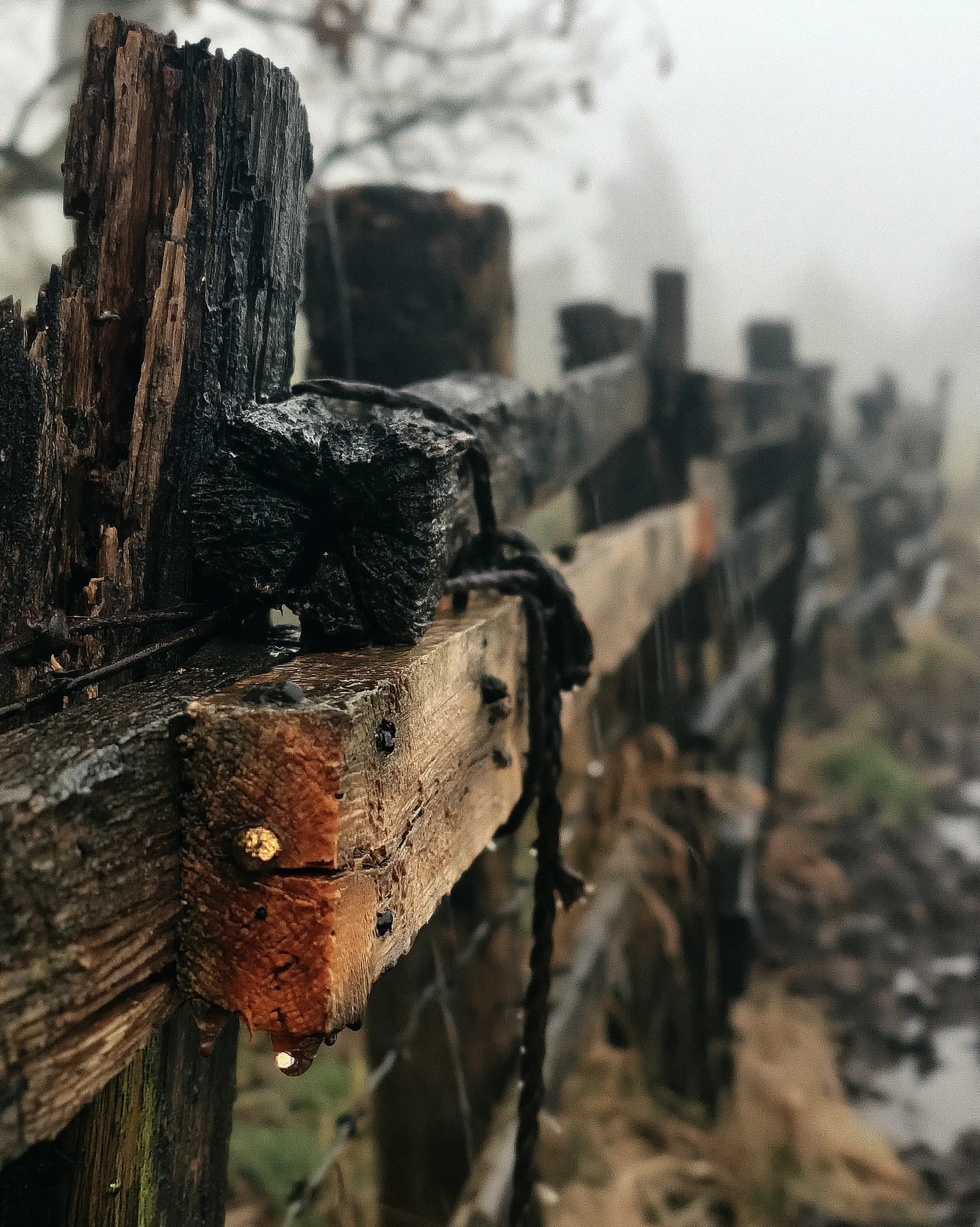 Borrowed Fence, artwork from Echofront